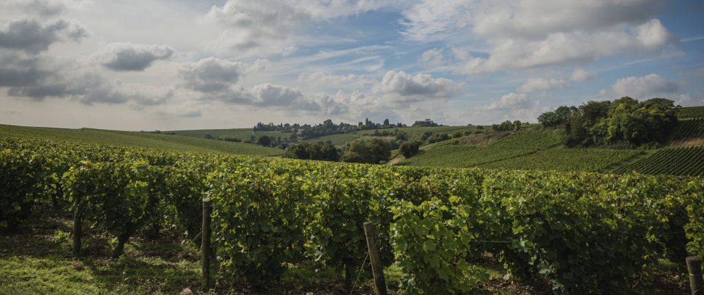 le-vignoble-barbotaine