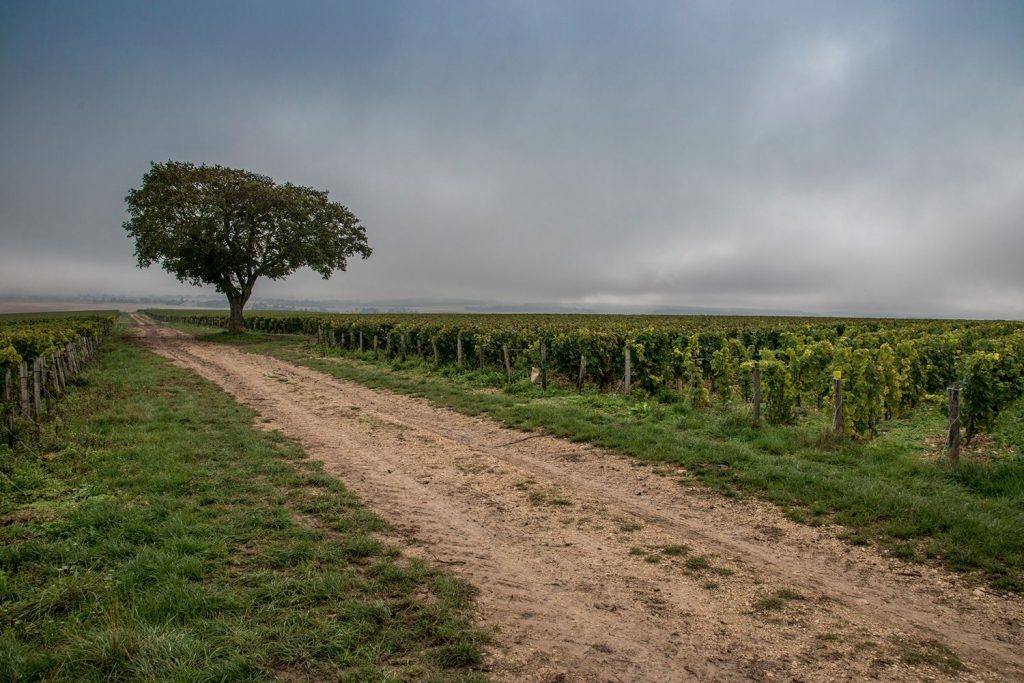 Le_domaine_la_Barbotaine